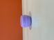 Баночка Тіфані, Фіолетова 10мл Баночка фото 3